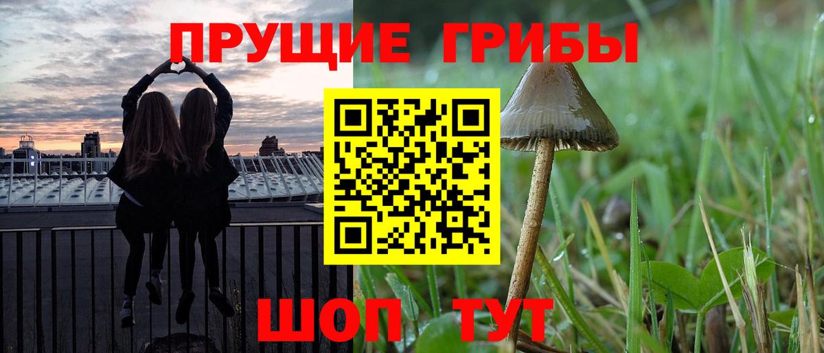 Галлюциногенные грибы MAGIC MUSHROOMS Кемерово