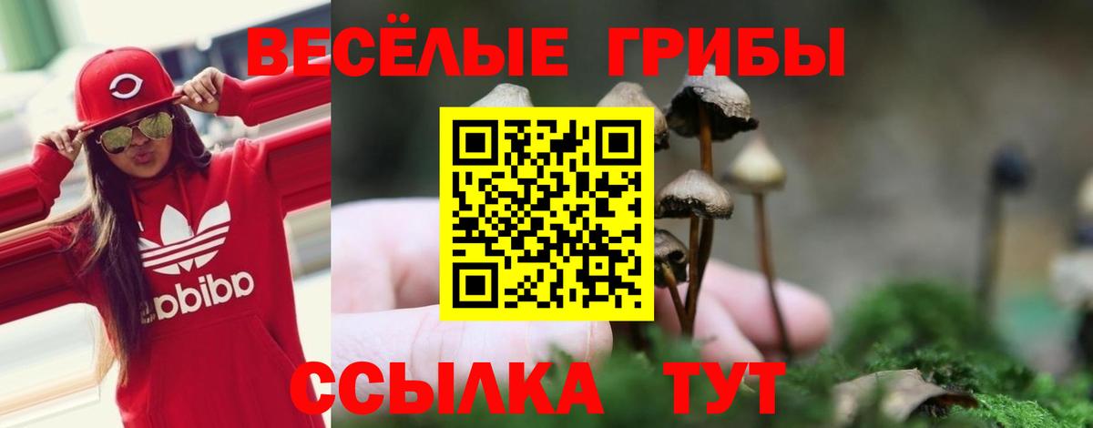 Кемерово  Галлюциногенные грибы ЛСД  Вход с VPN 